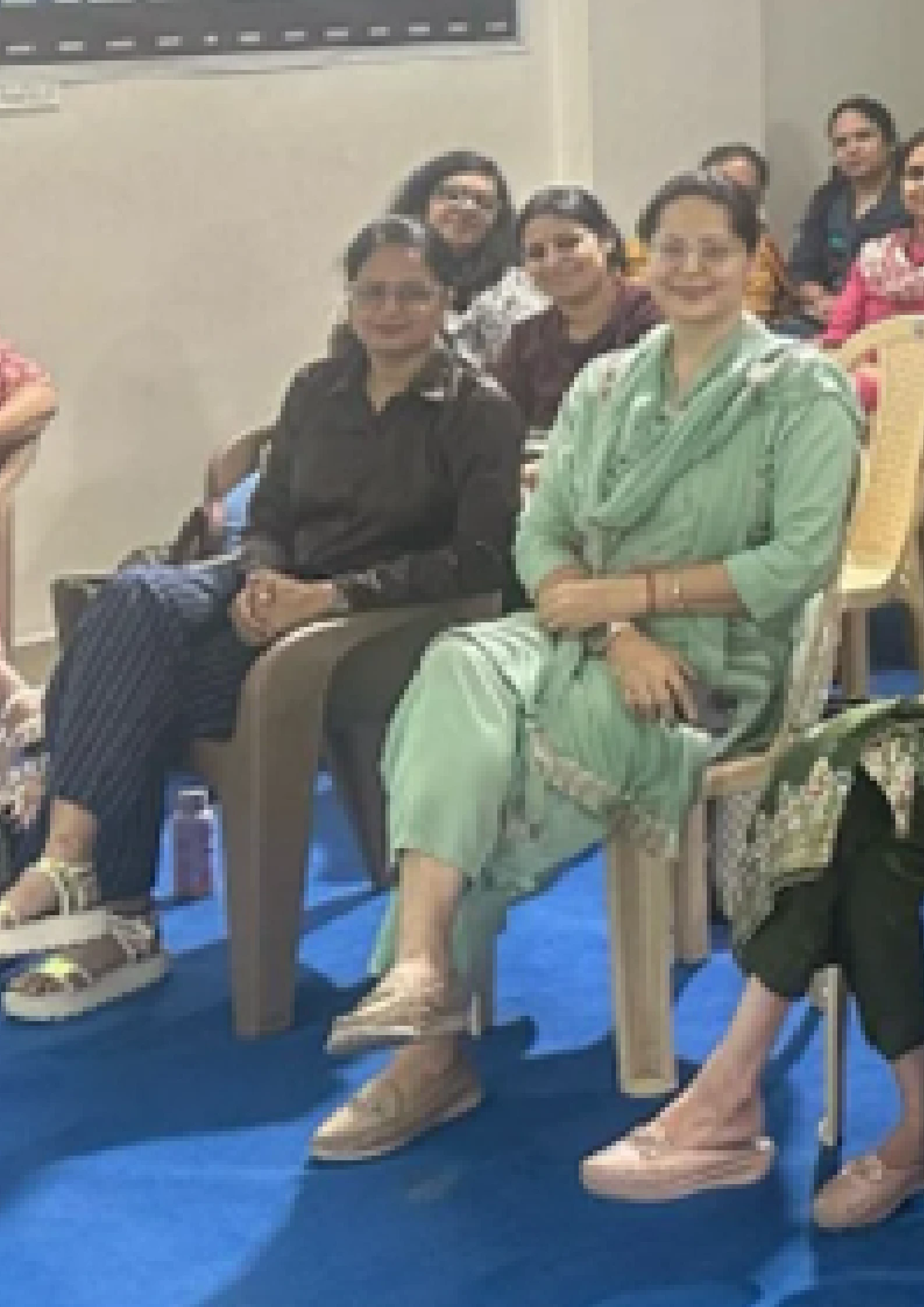 Shadow Teaching Program